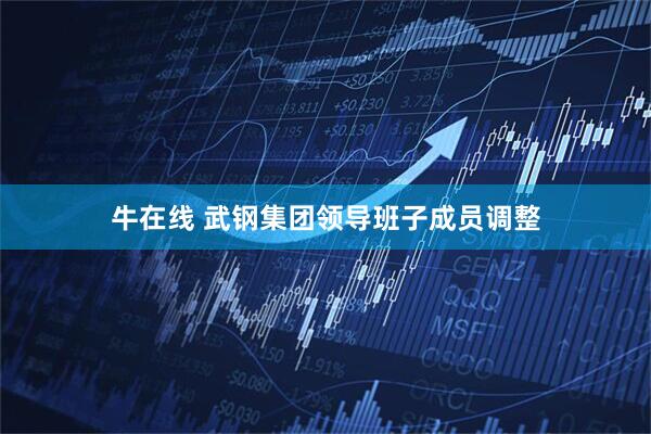 牛在线 武钢集团领导班子成员调整